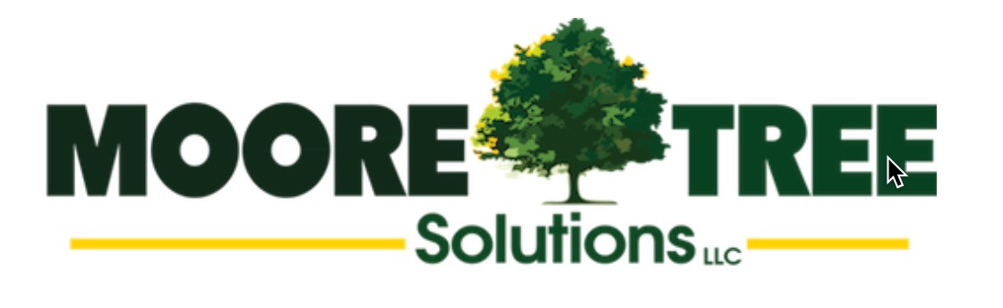 Business directory image